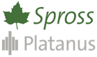 Spross Platanus